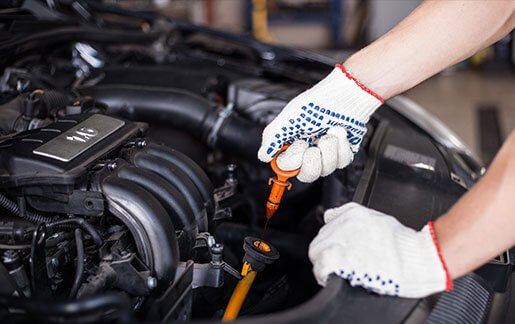 Premium Oil & Filter